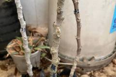 photo_5_2025-01-23_17-05-11